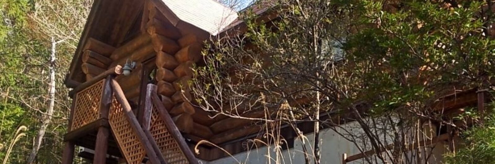 自然に囲まれた木製の建物｜マリンヴィライーリオ淡路島周辺