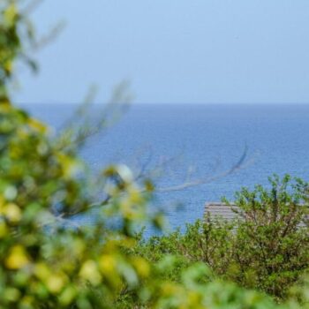 海辺のヴィラから望むオーシャンビュー｜淡路島で愛犬と海を楽しむ