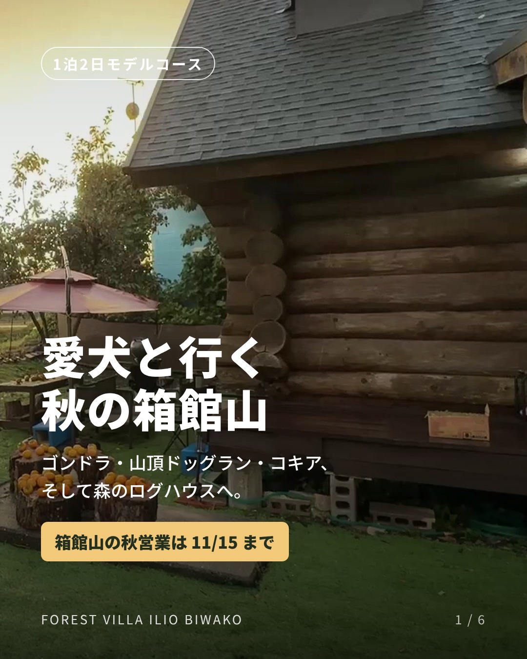 愛犬と行く秋の箱館山 1泊2日モデルコース