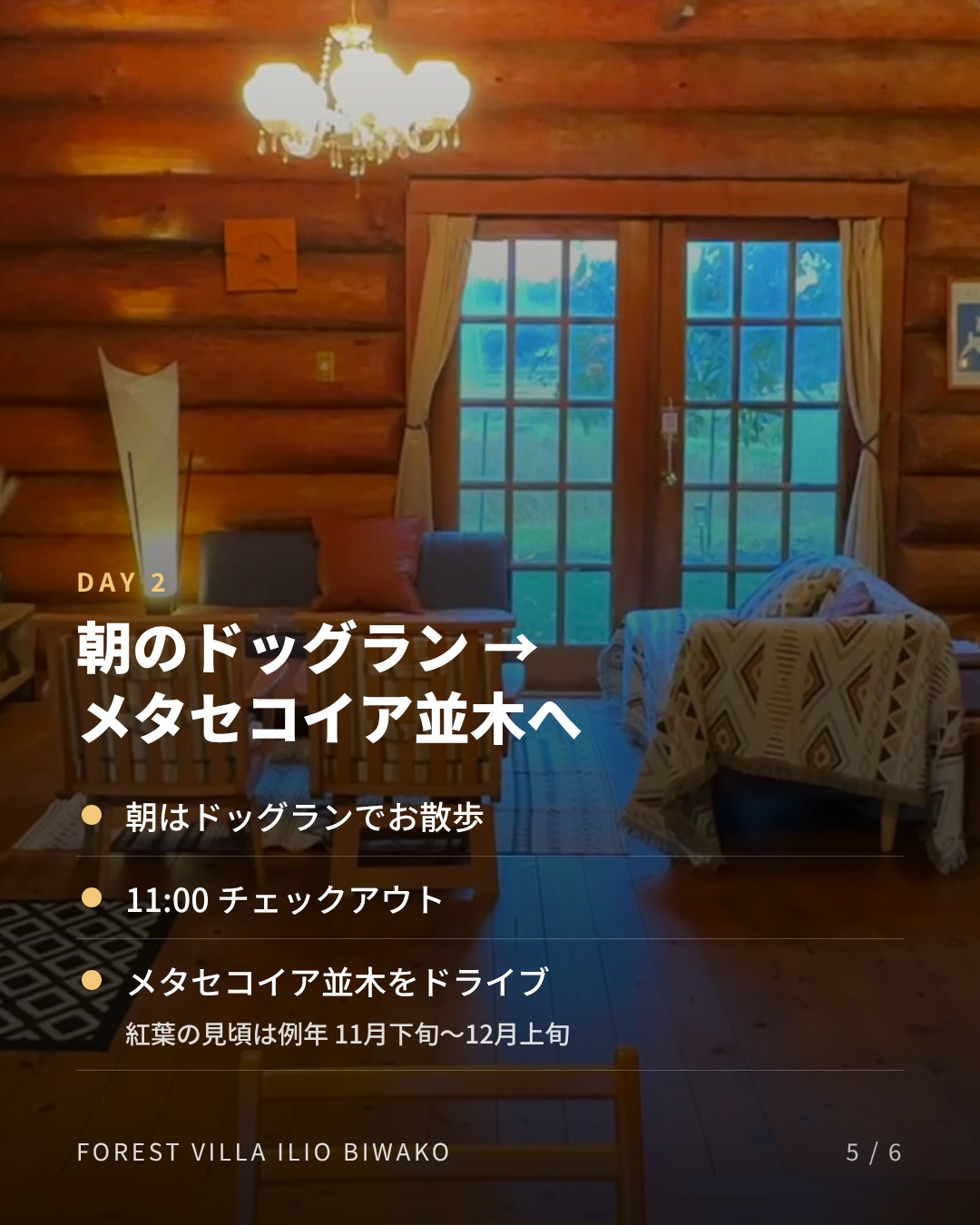 2日目 朝のドッグランとメタセコイア並木