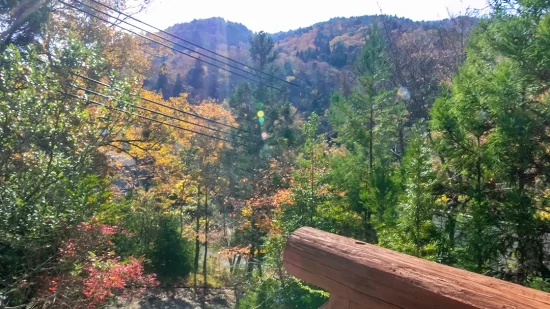 b porch